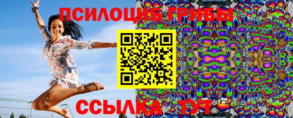 Псилоцибиновые грибы мухоморы  Вход с VPN  Псилоцибиновые грибы мухоморы  Кингисепп 